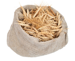 Similar image 1444277