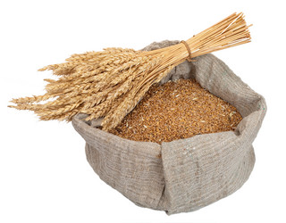 Similar image 1444280