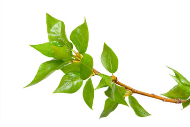 Similar image 1444283