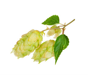 Similar image 1444285