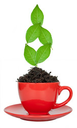 Similar image 1444286