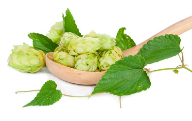 Similar image 1444291