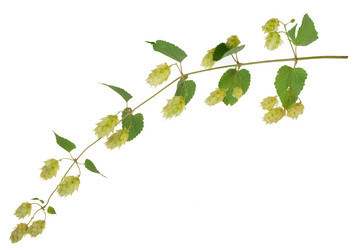 Similar image 1444292