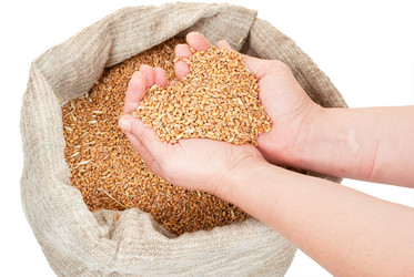 Similar image 1444297