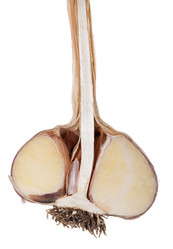 Similar image 1444298