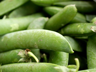 Similar image 1444400