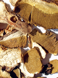 Similar image 1444416