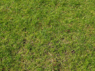 Similar image 1444436