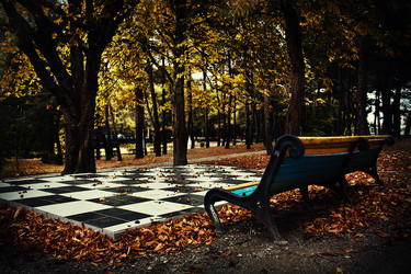 Similar image 1444505