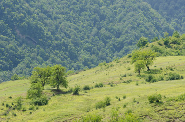 Similar image 1444732