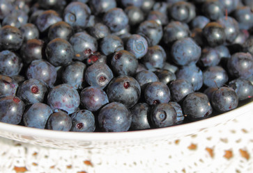 Similar image 1444772