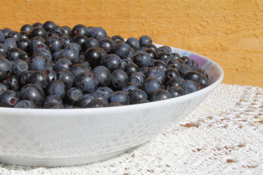 Similar image 1444774