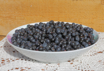 Similar image 1444775