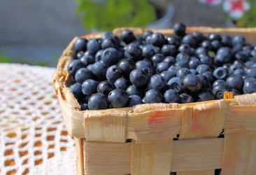 Similar image 1444776