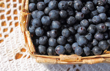 Similar image 1444777