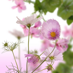 Similar image 1445032