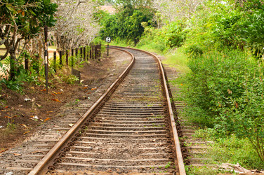 Similar image 1445039