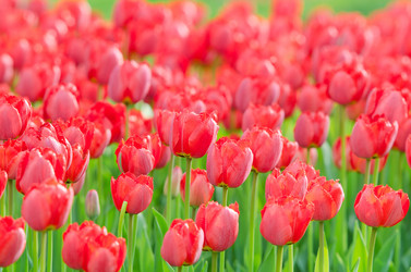 Similar image 1445079