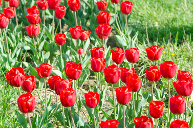 Similar image 1445195