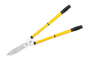 Similar image 1445270