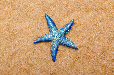 Similar image 1445271