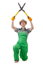 Similar image 1445275