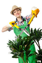 Similar image 1445279