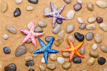 Similar image 1445285