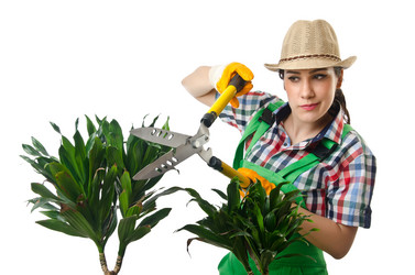 Similar image 1445290