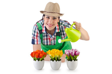 Similar image 1445304