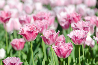 Similar image 1445321