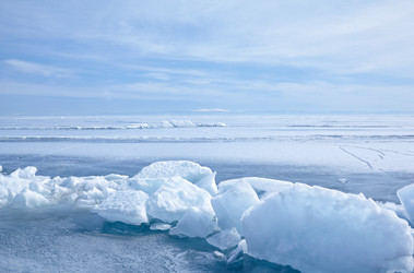 Similar image 1445567