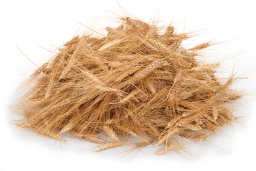 Similar image 1445577