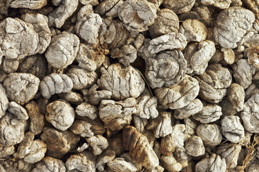 Similar image 1445610