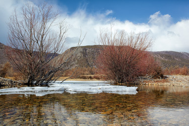 Similar image 1445706