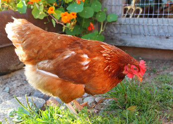 Similar image 1445803