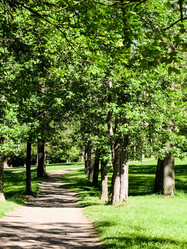 Similar image 1445809