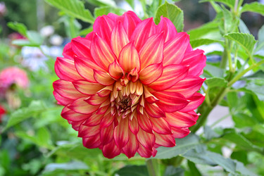 Similar image 1445837