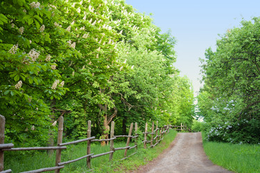 Similar image 1445869