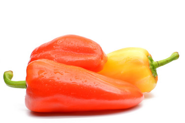 Similar image 1445898