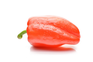 Similar image 1445899