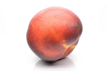 Similar image 1445900