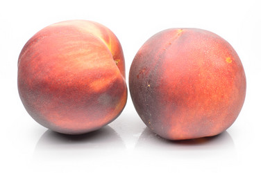 Similar image 1445901