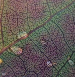 Similar image 1446009