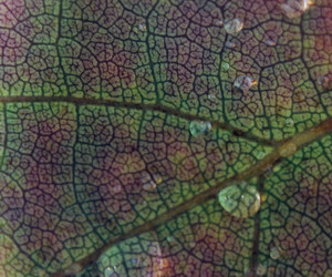 Similar image 1446010