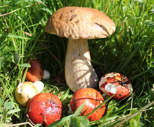 Similar image 1446014