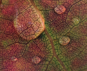 Similar image 1446017