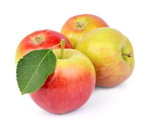 Similar image 1446038