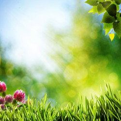 Similar image 1446092