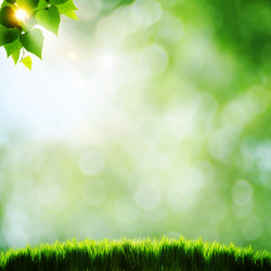 Similar image 1446113